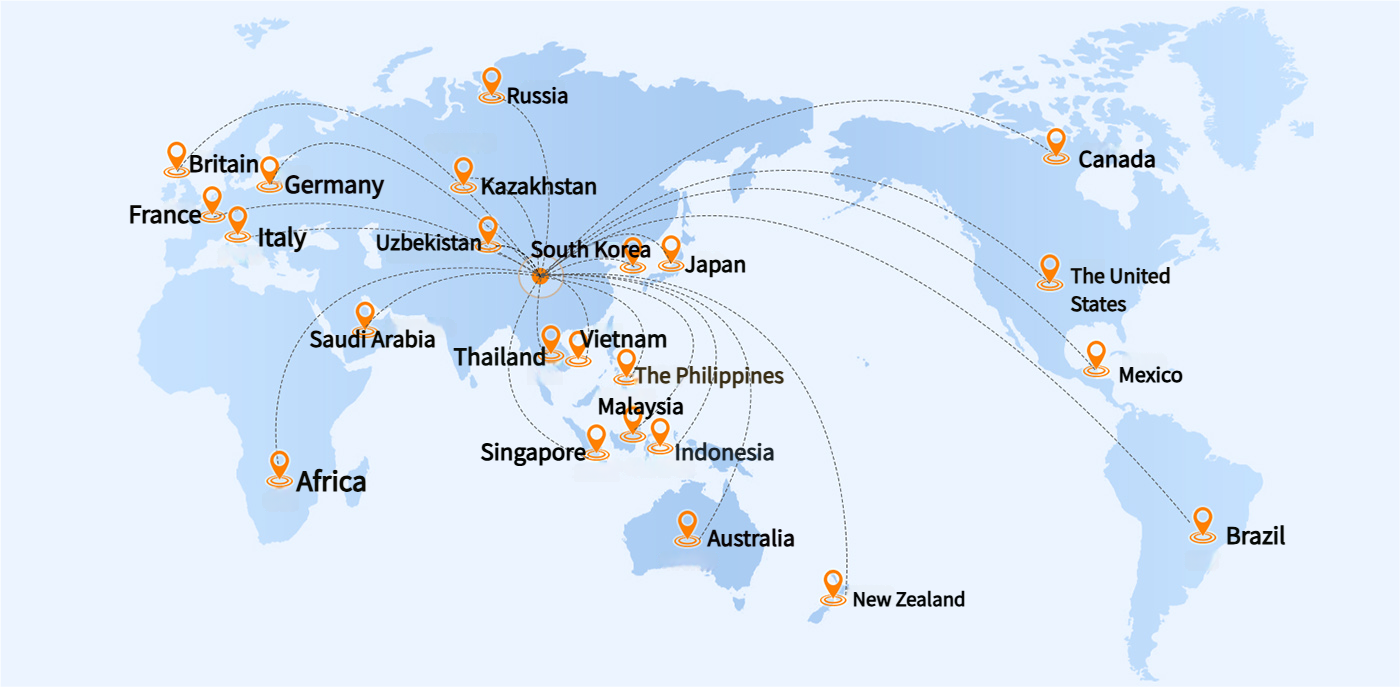 Savinglights Sales country map.jpg