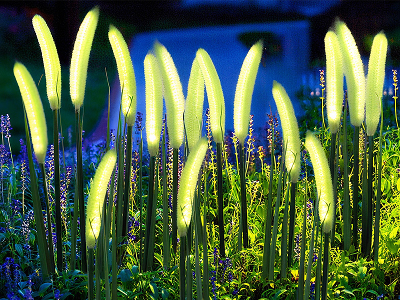 Transform your outdoor space with savinglights solar powered lights