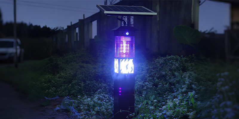 savinglights blog 2.jpg